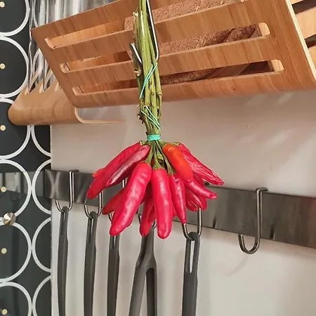 Moma Homes 凯奇凯梅特